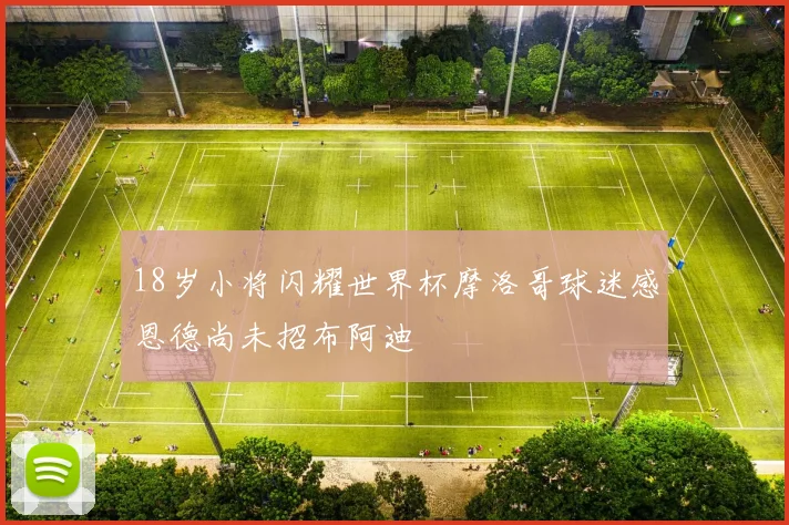18岁小将闪耀世界杯摩洛哥球迷感恩德尚未招布阿迪